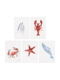 Baumwoll-Geschirrtücher-Set Sable, 5-tlg.